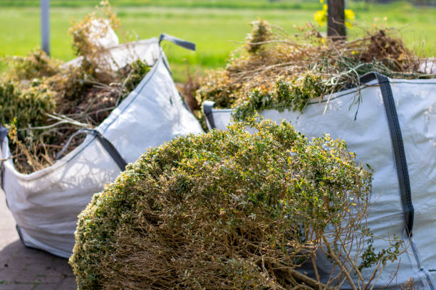 Best Estate Cleanout Services  in Medina, NY